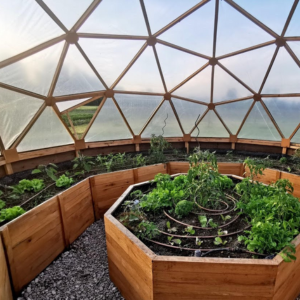 8 reasons why a geodesic dome greenhouse kit is a great choice for your garden