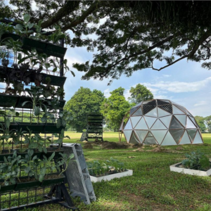 Shawn Tjoa's self-sustaining greenhouse dome